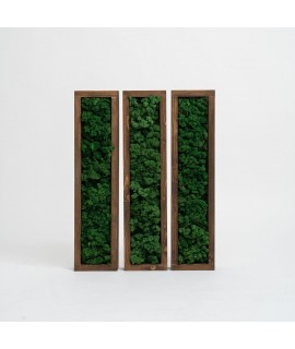 Suport lemn masiv pentru...